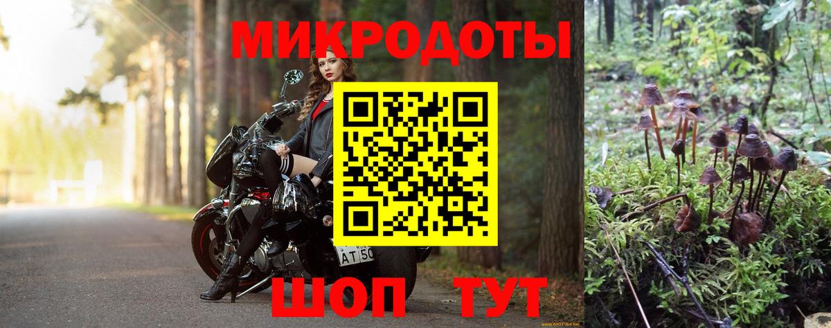 Галлюциногенные грибы Cubensis Будённовск