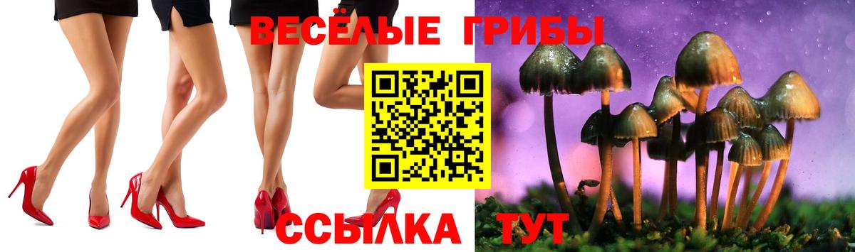 Псилоцибиновые грибы MAGIC MUSHROOMS  Вход с VPN  Будённовск 